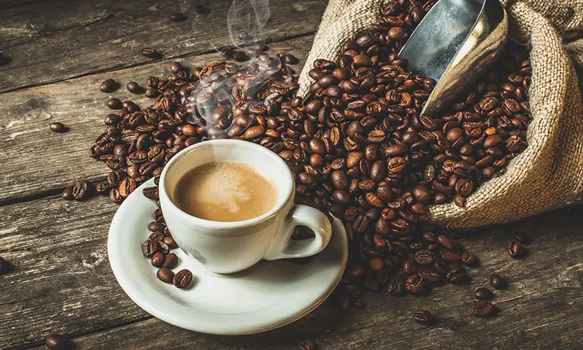 常见的咖啡种类有哪些分类？