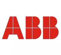 ABB（中国）