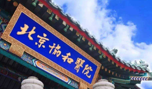 北京协和医院