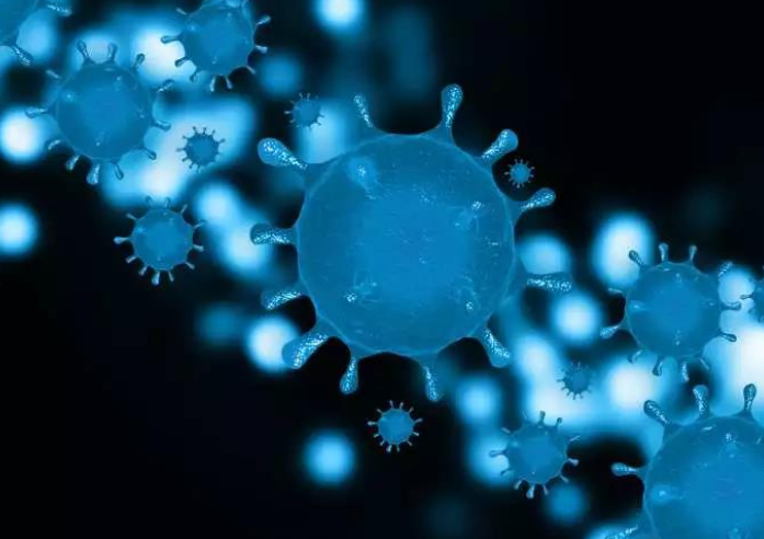 新冠病毒更喜欢脂肪吗？肥胖人群是不是更容易感染新冠？