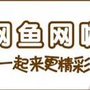 上海网鱼信息科技有限公司
