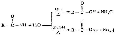 酰胺在酸性条件下水解吗？